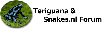 Board logo