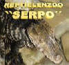 reptielenzoo serpo foto