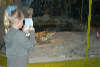 reptielentuin serpo foto