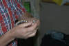 reptielentuin serpo foto
