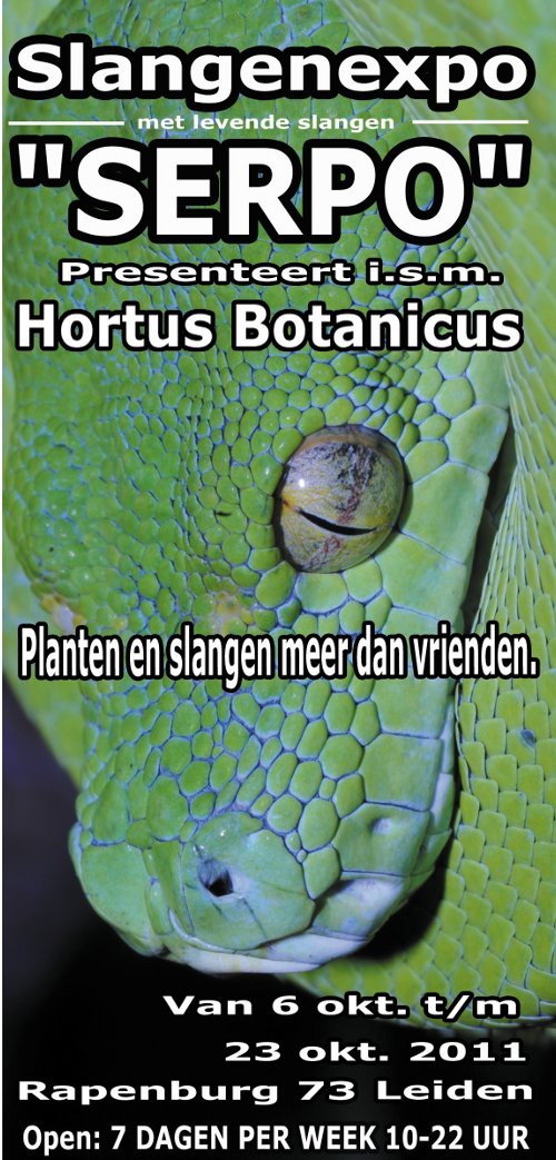 serpo in hortus Leiden 2011